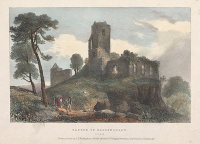 Schloss Ballincolly von James Duffield Harding