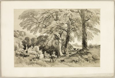Ulme, aus Der Park und der Wald von James Duffield Harding