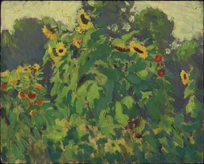 Sonnenblumen, Thornhill von James Edward Hervey Macdonald