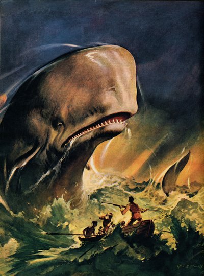 Moby Dick von James Edwin McConnell