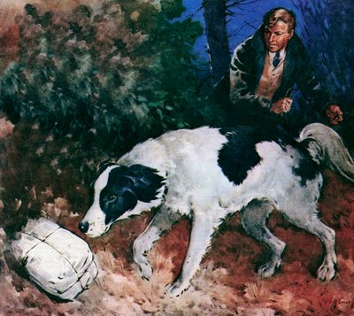 Pickles, der Weltmeisterschafts-Hund von James Edwin McConnell