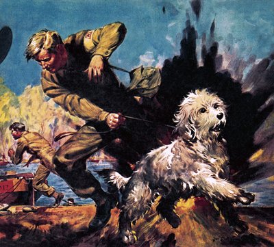 Ricky, Kriegshund von James Edwin McConnell