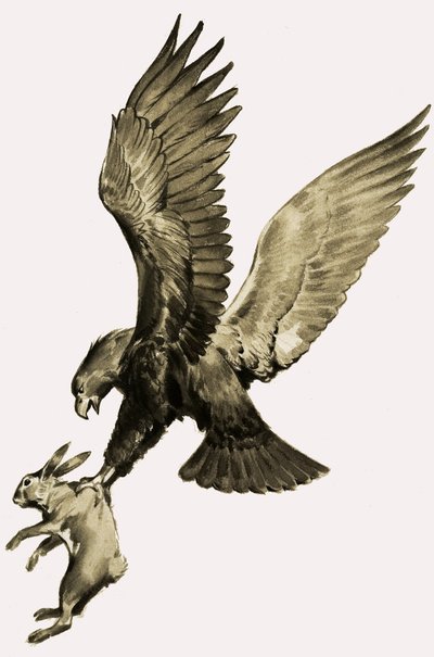 Der Adler und der Hase, aus der Geschichte von Aesop von James Edwin McConnell