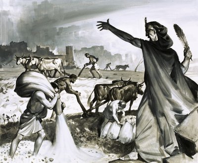 Der Aufstieg und Fall von Karthago: Der römische Fluch auf Karthago von James Edwin McConnell
