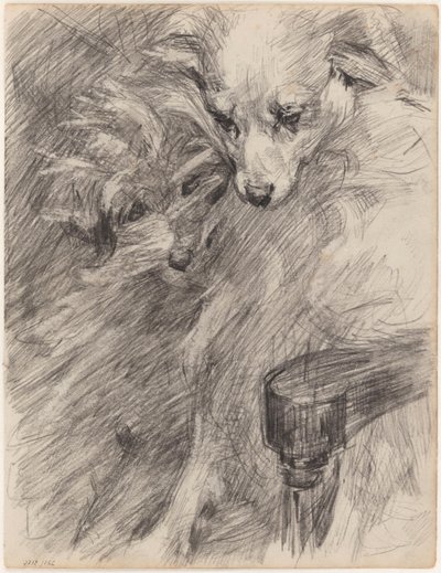 Zwei Hunde in einem Sessel von James Ensor
