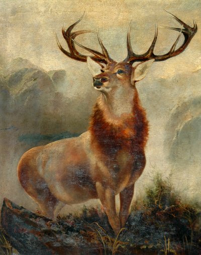Hirsch in der Enge von James Ford