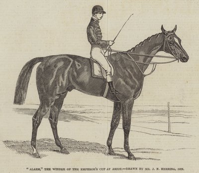 Alarm, der Gewinner des Kaiserpokals in Ascot von James Herring