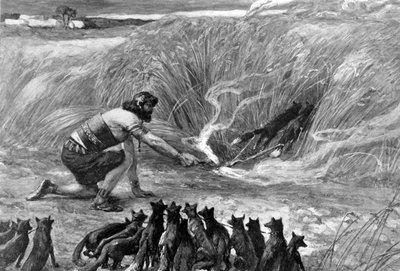 Simson und die Füchse von J. James Tissot - Bibel von James Jacques Joseph (after) Tissot
