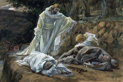 Konntet ihr nicht eine Stunde mit mir wachen?, Illustration für Das Leben Christi von James Jacques Joseph Tissot