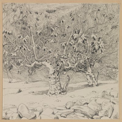 Feigenbaum, Tal von Hinnom, Illustration aus Das Leben unseres Herrn Jesus Christus von James Jacques Joseph Tissot