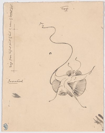 Schmetterling (recto); Skizze für Schlussvignette (verso) von James McNeill Whistler