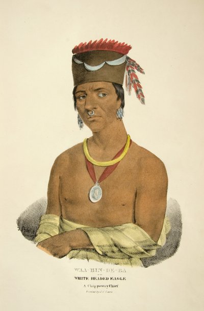 Waa-bin-de-ba oder der Weißkopf-Adler von James Otto Lewis