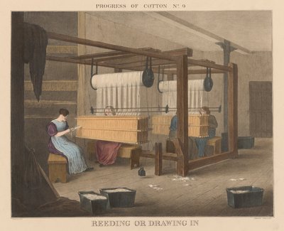 Fortschritt der Baumwolle: #9 - Reeding oder Einziehen von James Richard Barfoot