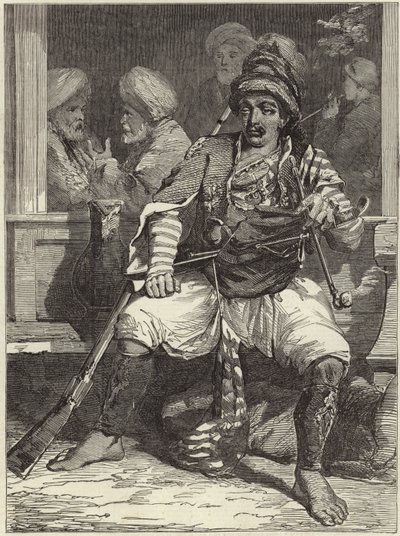 Ein Bashi-Bazouk von James Robertson