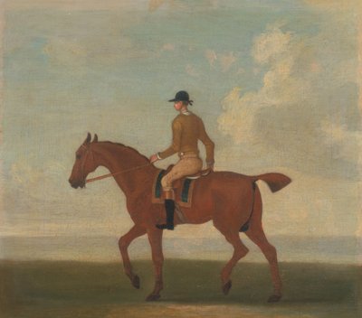 Eines von vier Pferdeporträts - ein Kastanienbraunes Rennpferd mit Jockey: gehend nach links; Jockey in gelber Jacke von James Seymour