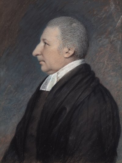 Der Rev. Rowland Hill von James Sharples