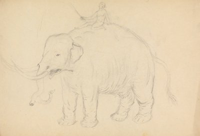 Elefant mit Reiter von James Sowerby