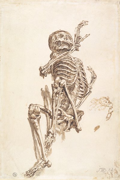 Ein menschliches Skelett (recto) von James Ward