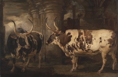 Porträts von zwei außergewöhnlichen Ochsen, Eigentum des Earl of Powis von James Ward