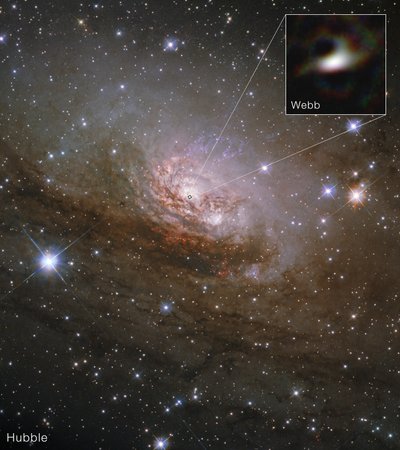 Circinus-Galaxie (Hubble und Webb) von James Webb Space Telescope (NASA)