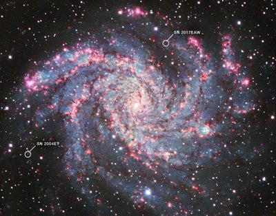 NGC 6946 von James Webb Space Telescope (NASA)