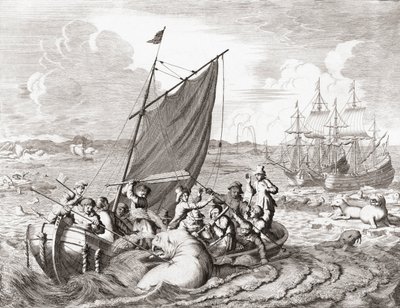 Walrossjäger im 16. Jahrhundert (Gravur) von Jan (after) Luyken