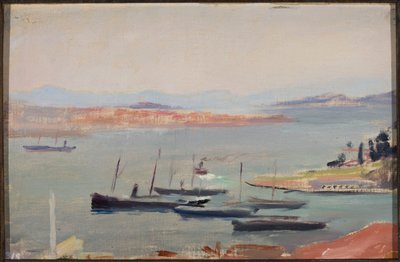 Auf dem Landgut, am Eingang zum Bosporus. Aus der Reise nach Konstantinopel von Jan Ciągliński
