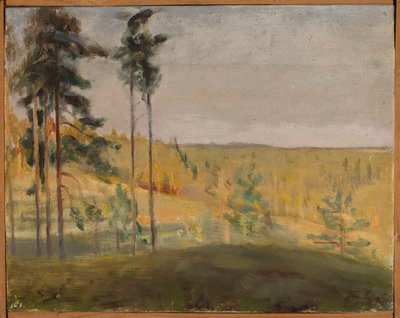 Terioki - Finnland von Jan Ciągliński