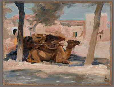 Kamel. Aus der Reise nach Palästina von Jan Ciągliński