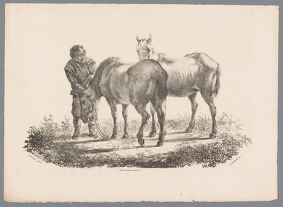 Mann und zwei Pferde von Jan Kobell (III)