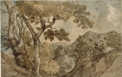 Bergige Landschaft mit Baumgruppe von Jan Lievens