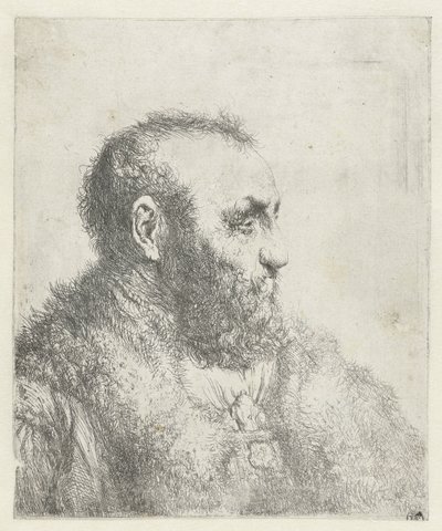 Büste eines alten Mannes mit Pelzmantel von Jan Lievens