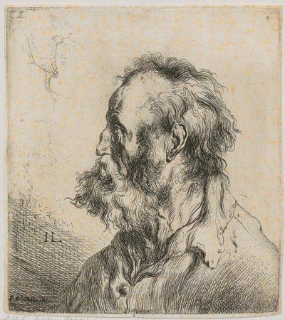  von Jan Lievens