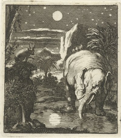 Hase und Elefant mit Vollmond an einer Wasserquelle von Jan Luyken