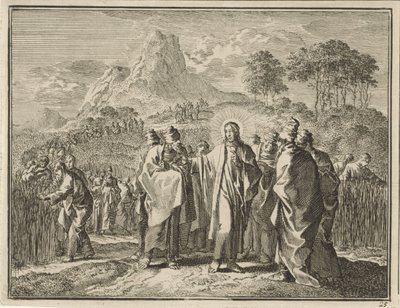 Ährenlesen am Sabbat von Jan Luyken