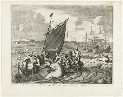 Die Reise nach Nowaja Semlja im Jahr 1596, 1679-1681 von Jan Luyken