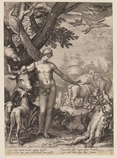 Adam benennt die Tiere, aus der Geschichte der ersten Eltern der Menschheit von Jan Saenredam