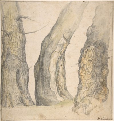Studie von drei alten knorrigen Bäumen, 1660 von Jan Siberechts