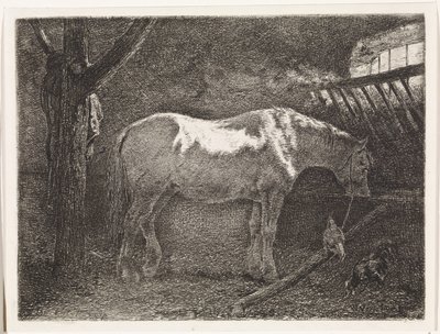 Pferd im Stall von Johannes Martinus Vrolijk