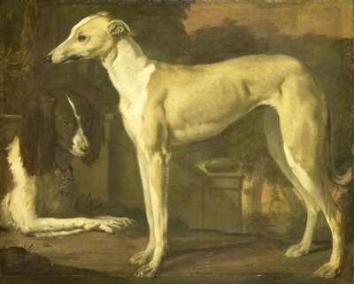 Porträt eines Windhunds und Spaniels von Jan Weenix