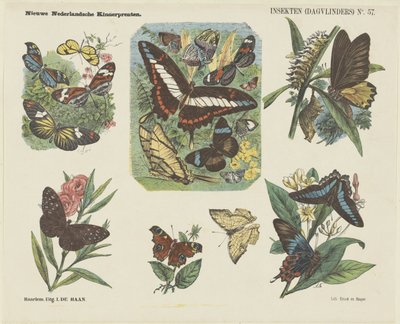 Insekten (Tagfalter) von Jan de Haan