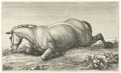 Gesneuveld paard op de buik liggend von Jan van Huchtenburg