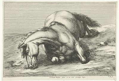 Gesneuveltes Pferd auf der rechten Seite liegend von Jan van Huchtenburg