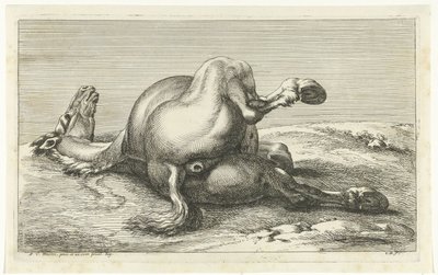Gefallenes Pferd von hinten gesehen von Jan van Huchtenburg