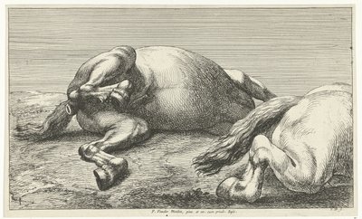 Zwei gefallene Pferde, von denen das rechte von der Seite gesehen wird von Jan van Huchtenburg