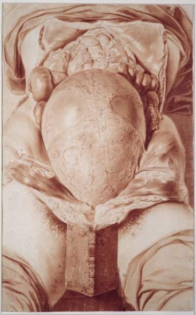 Tafel XXVI Zeichnung aus William Hunters 