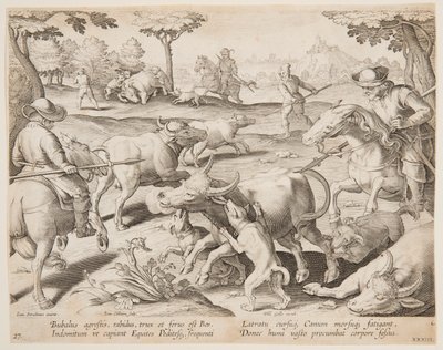 Büffeljagd, Platte 27 in der Serie Venationes Ferarum, Avium, Piscium von Jan van der Straet, called Stradanus