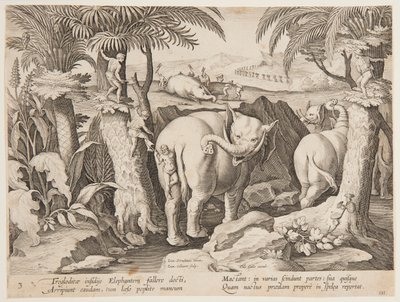 Höhlenmenschen jagen Elefanten, Tafel 3 aus der Serie Venationes Ferarum, Avium, Piscium von Jan van der Straet, called Stradanus