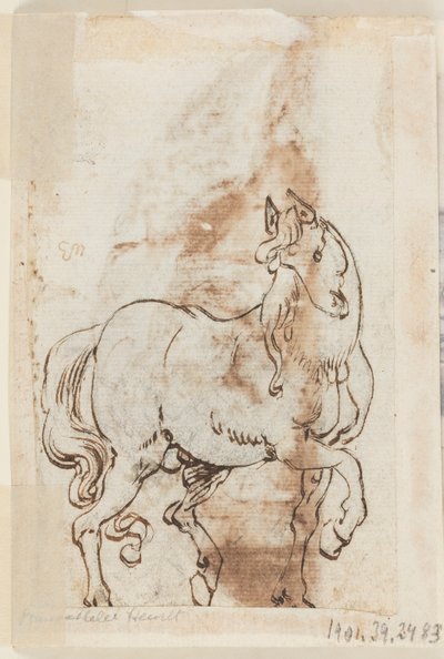 Seite eines Zeichenbuchs; Studie für ein Gemälde von St. Magdalena; Ein Hengst von Jan van der Straet, called Stradanus