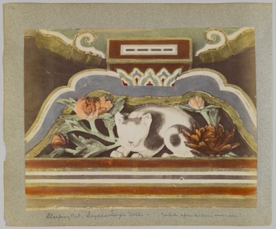 Schlafende Katze, Detail von Tōshō-gū, Nikko, Japan von Japanese Photographer